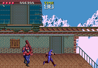 Ninja Gaiden