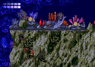 Ecco the Dolphin