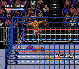 WWF Rage in the Cage