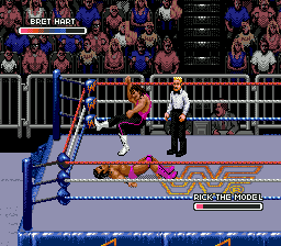 WWF Rage in the Cage