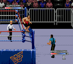 WWF Rage in the Cage