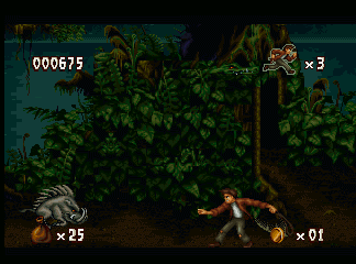 Pitfall: The Mayan Adventure