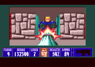      Wolfenstein 3D  SMD