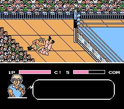 Tecmo World Wrestling