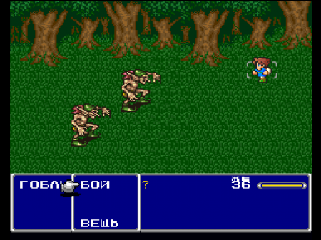 Final Fantasy V (RGR)