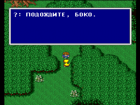 Final Fantasy V (RGR)